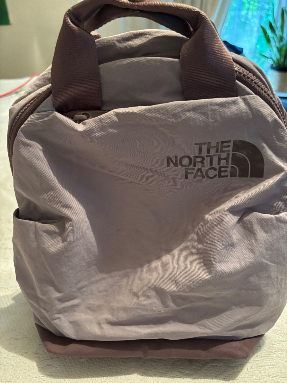 Small The North Face Mauve Mini Never Stop Backpack/Bookbag